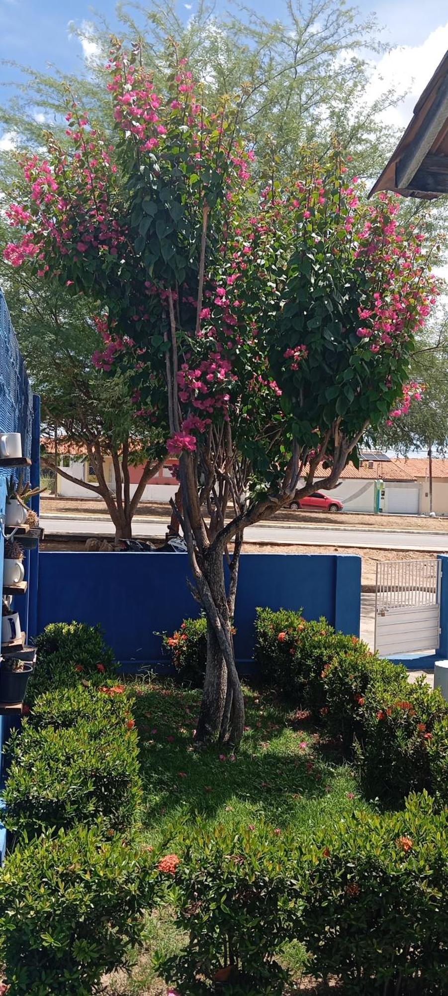 Casa Recanto Dos Cangaceiros ببرانا المظهر الخارجي الصورة